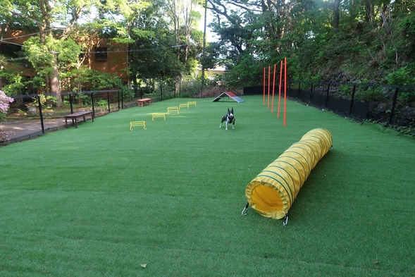 全室離れの絶景客室露天で愛犬と非日常のひとときを◆伊豆の美食に癒される『おこもり旅』／１泊２食付